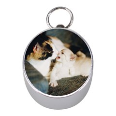 Calico Cat And White Kitty Mini Silver Compasses by trendistuff