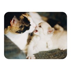 Calico Cat And White Kitty Double Sided Flano Blanket (mini)  by trendistuff