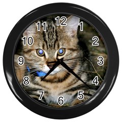 Blue-eyed Kitty Wall Clocks (black) by trendistuff