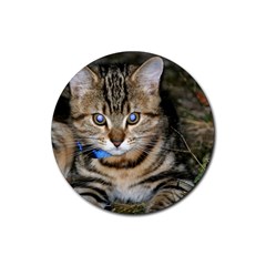 Blue-eyed Kitty Rubber Coaster (round)  by trendistuff