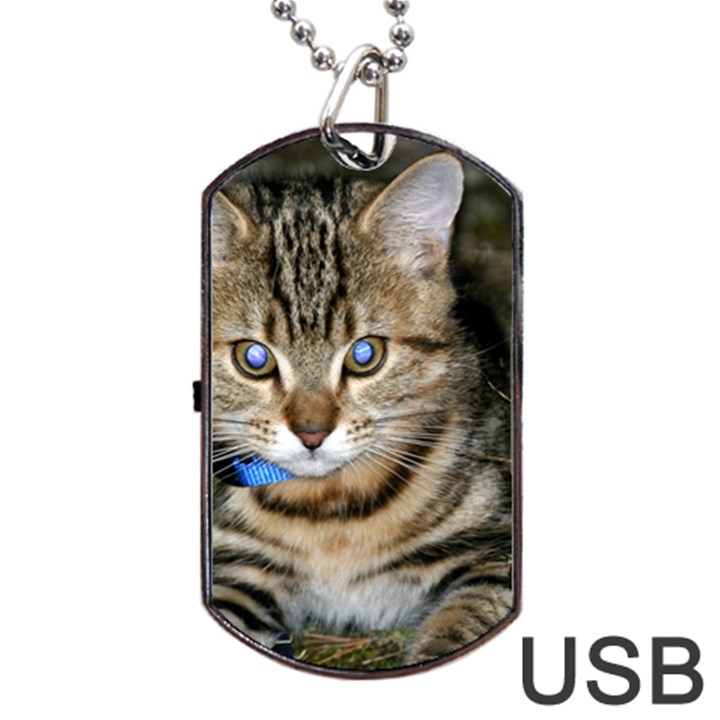 BLUE-EYED KITTY Dog Tag USB Flash (Two Sides) 