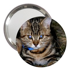 Blue-eyed Kitty 3  Handbag Mirrors by trendistuff