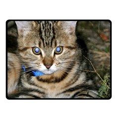 Blue-eyed Kitty Double Sided Fleece Blanket (small)  by trendistuff