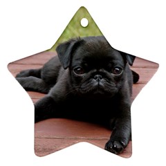 Alert Pug Puppy Ornament (star)  by trendistuff