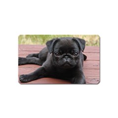 Alert Pug Puppy Magnet (name Card) by trendistuff