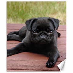 Alert Pug Puppy Canvas 20  X 24   by trendistuff