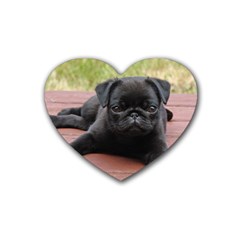 Alert Pug Puppy Heart Coaster (4 Pack)  by trendistuff