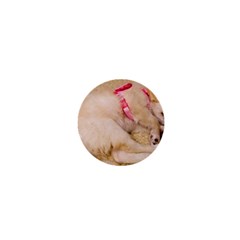 Adorable Sleeping Puppy 1  Mini Magnets by trendistuff