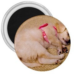 Adorable Sleeping Puppy 3  Magnets by trendistuff