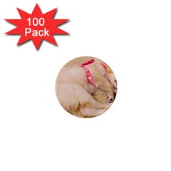 Adorable Sleeping Puppy 1  Mini Magnets (100 Pack)  by trendistuff