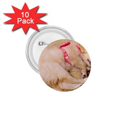 Adorable Sleeping Puppy 1 75  Buttons (10 Pack) by trendistuff