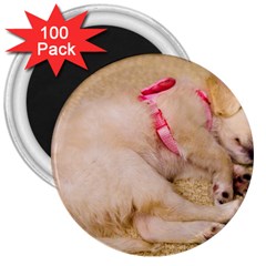 Adorable Sleeping Puppy 3  Magnets (100 Pack) by trendistuff