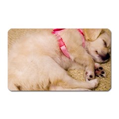 Adorable Sleeping Puppy Magnet (rectangular) by trendistuff