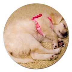 Adorable Sleeping Puppy Magnet 5  (round) by trendistuff