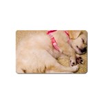 ADORABLE SLEEPING PUPPY Magnet (Name Card) Front