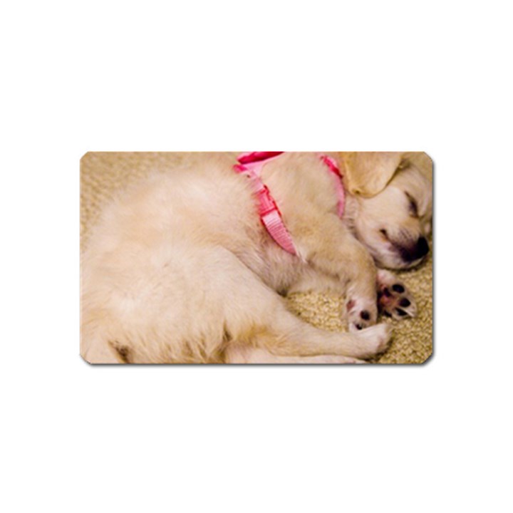 ADORABLE SLEEPING PUPPY Magnet (Name Card)