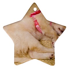 Adorable Sleeping Puppy Star Ornament (two Sides)  by trendistuff