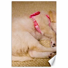 Adorable Sleeping Puppy Canvas 12  X 18   by trendistuff