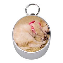 Adorable Sleeping Puppy Mini Silver Compasses by trendistuff