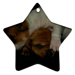 Adorable Baby Puppies Ornament (star)  by trendistuff