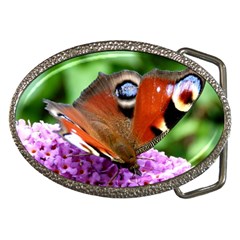 Peacock Butterfly Belt Buckles by trendistuff