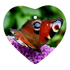 Peacock Butterfly Heart Ornament (2 Sides) by trendistuff