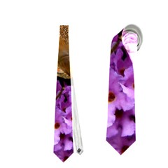 Peacock Butterfly Neckties (two Side)  by trendistuff