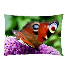 Peacock Butterfly Pillow Cases by trendistuff