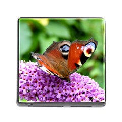 Peacock Butterfly Memory Card Reader (square)