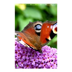 Peacock Butterfly Shower Curtain 48  X 72  (small)  by trendistuff