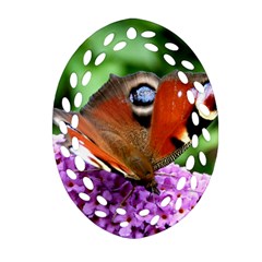 Peacock Butterfly Oval Filigree Ornament (2-side)  by trendistuff