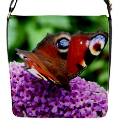 Peacock Butterfly Flap Messenger Bag (s) by trendistuff