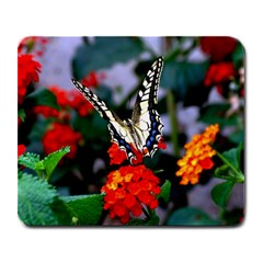 Butterfly Flowers 1 Large Mousepads