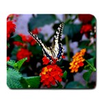 BUTTERFLY FLOWERS 1 Large Mousepads Front