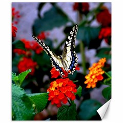 Butterfly Flowers 1 Canvas 8  X 10  by trendistuff