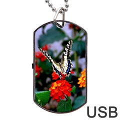 Butterfly Flowers 1 Dog Tag Usb Flash (two Sides)  by trendistuff