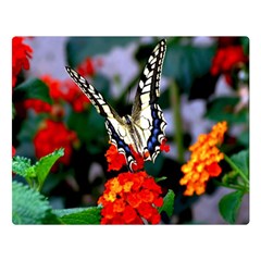 Butterfly Flowers 1 Double Sided Flano Blanket (large)  by trendistuff