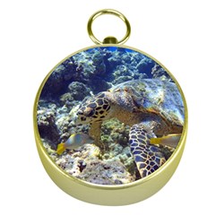 Sea Turtle Gold Compasses by trendistuff