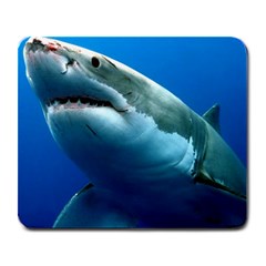 Great White Shark 3 Large Mousepads by trendistuff