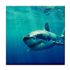 Great White Shark 1 Face Towel by trendistuff