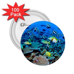 Fr Frigate Shoals 2 25  Buttons (100 Pack)  by trendistuff