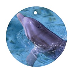 Dolphin 2 Ornament (round)  by trendistuff
