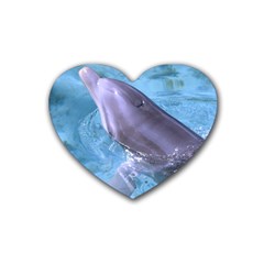 Dolphin 2 Heart Coaster (4 Pack)  by trendistuff