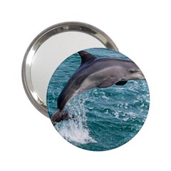 Dolphin 2 25  Handbag Mirrors by trendistuff