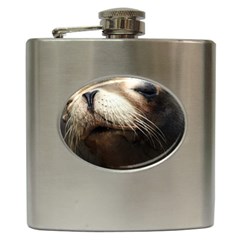 Cute Sea Lion Hip Flask (6 Oz) by trendistuff