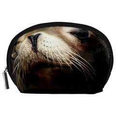 Cute Sea Lion Accessory Pouches (large) 