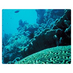 Coral Reefs 2 Double Sided Flano Blanket (medium)  by trendistuff