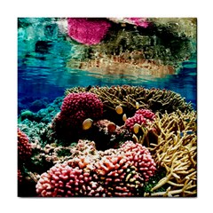 Coral Reefs 1 Tile Coasters by trendistuff