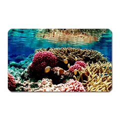 Coral Reefs 1 Magnet (rectangular) by trendistuff
