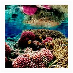 CORAL REEFS 1 Medium Glasses Cloth Front